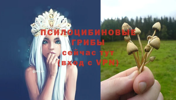соль ск Алексин