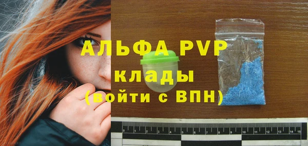 индика Наволоки