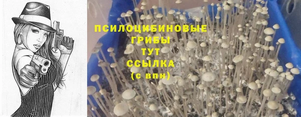 Альфа ПВП Алексеевка