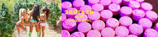 соль ск Алексин