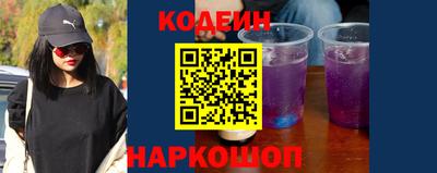 apvp Партизанск