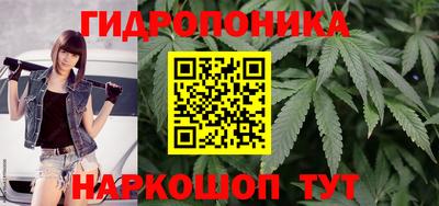 apvp Партизанск