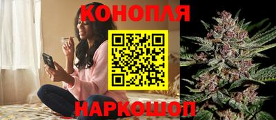 apvp Партизанск