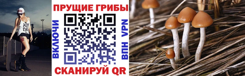 Псилоцибиновые грибы GOLDEN TEACHER  Североуральск 