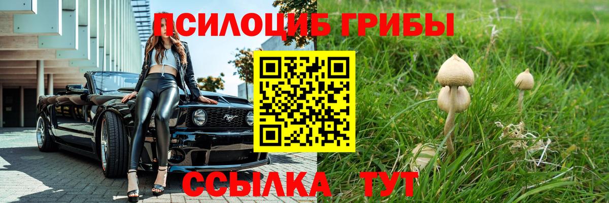 Североуральск  Псилоцибиновые грибы Psilocybe  Вход с VPN 