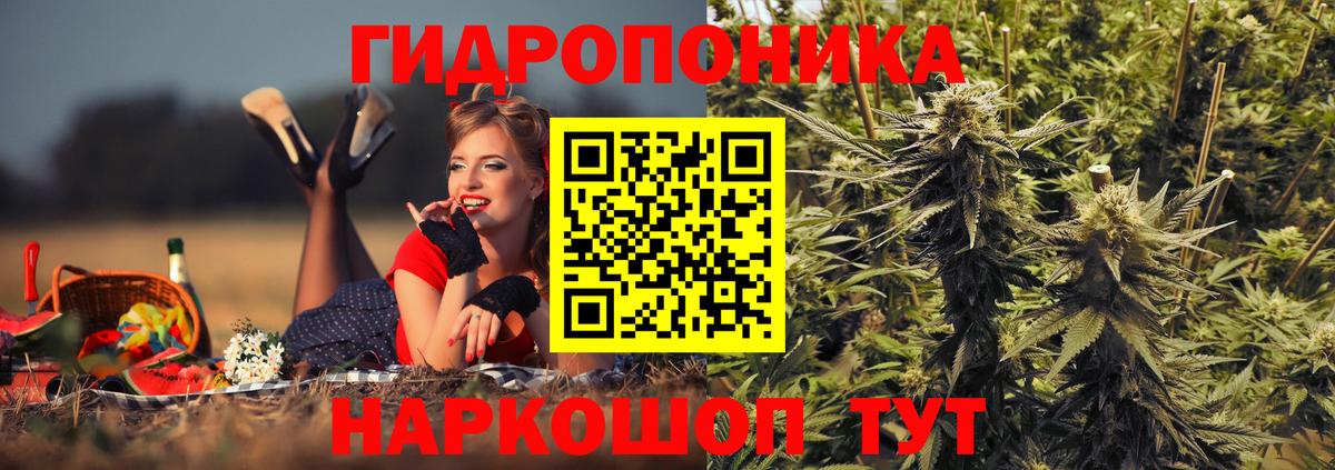 Конопля конопля Североуральск